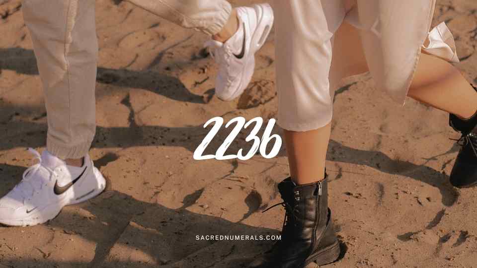 天使數字2236