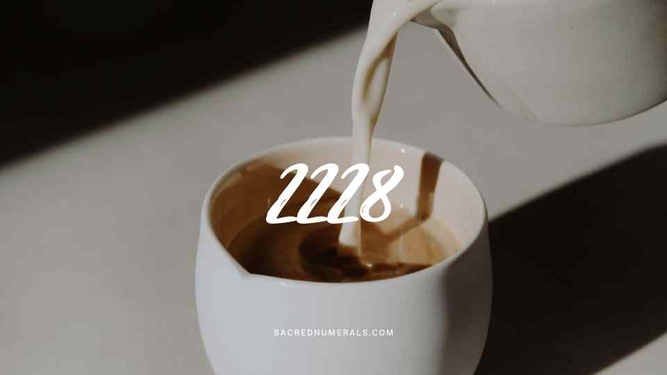 天使數字2228 象徵愛與財富能量的同步顯化