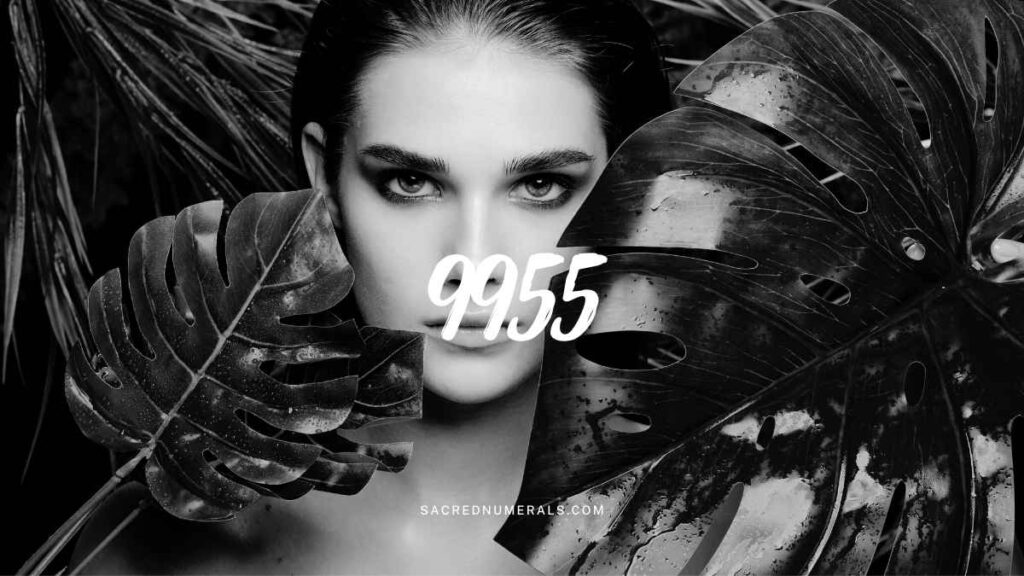 天使數字9955
