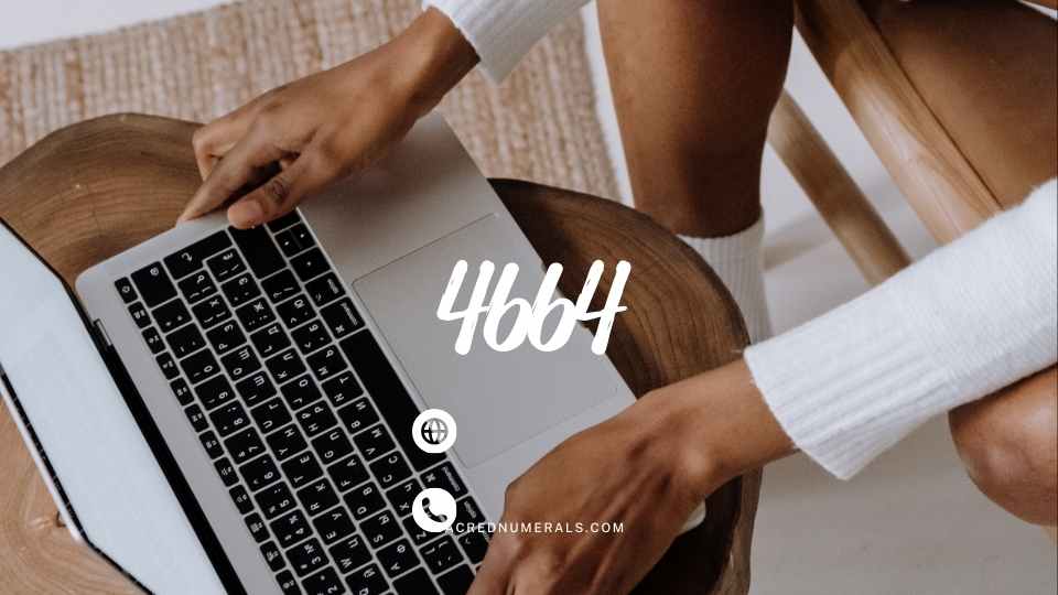 天使數字4664 代表穩定與愛的能量整合